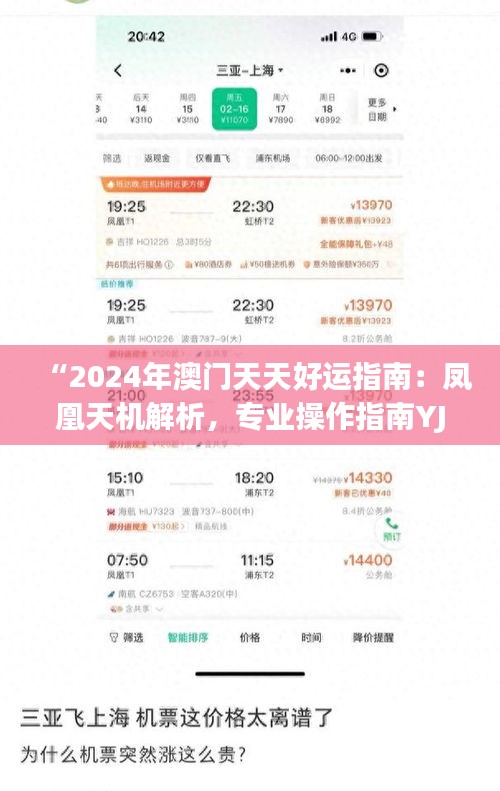 “2024年澳门天天好运指南：凤凰天机解析，专业操作指南YJI785.29”