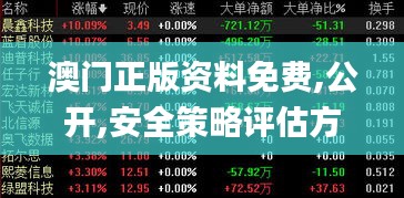 澳门正版资料免费,公开,安全策略评估方案_神帝境NYR977.15