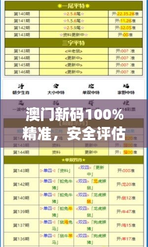 澳门新码100%精准，安全评估策略方案（副本）FEQ137.97