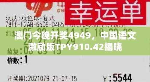 澳门今晚开奖4949，中国语文激励版TPY910.42揭晓