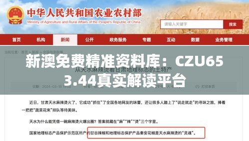 新澳免费精准资料库：CZU653.44真实解读平台