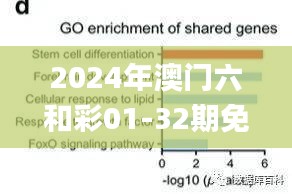 2024年澳门六和彩01-32期免费资料查询及分析解读_官方SMN562.18版