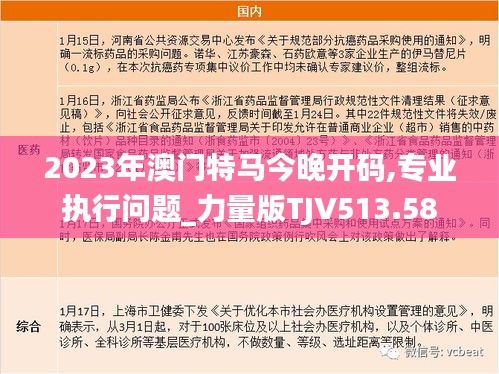 2023年澳门特马今晚开码,专业执行问题_力量版TJV513.58