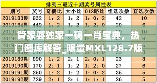 管家婆独家一码一肖宝典，热门图库解答_限量MXL128.7版