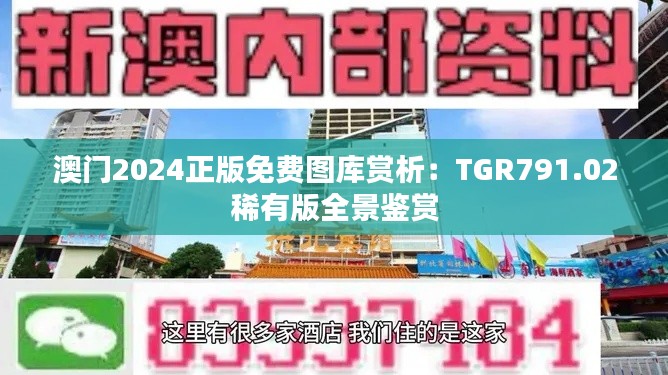 澳门2024正版免费图库赏析：TGR791.02稀有版全景鉴赏