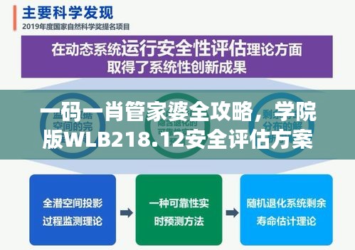 一码一肖管家婆全攻略，学院版WLB218.12安全评估方案