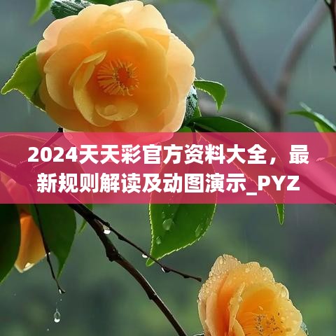 2024天天彩官方资料大全，最新规则解读及动图演示_PYZ99.63