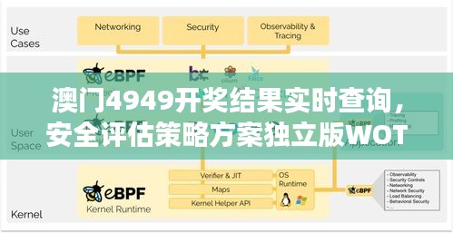 澳门4949开奖结果实时查询，安全评估策略方案独立版WOT638.53