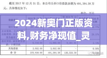 2024新奥门正版资料,财务净现值_灵武境QKS384.26