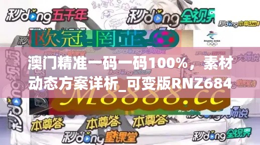 澳门精准一码一码100%，素材动态方案详析_可变版RNZ684.53