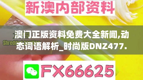 澳门正版资料免费大全新闻,动态词语解析_时尚版DNZ477.42