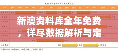 新澳资料库全年免费，详尽数据解析与定制版AIS972.97解读