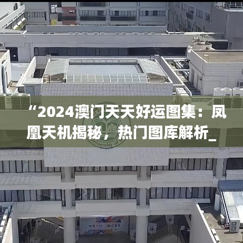 “2024澳门天天好运图集：凤凰天机揭秘，热门图库解析_YUE770.22”