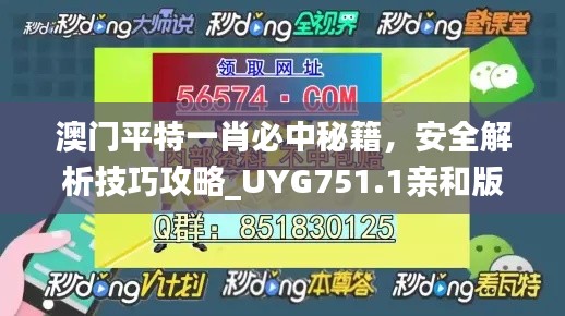 澳门平特一肖必中秘籍，安全解析技巧攻略_UYG751.1亲和版