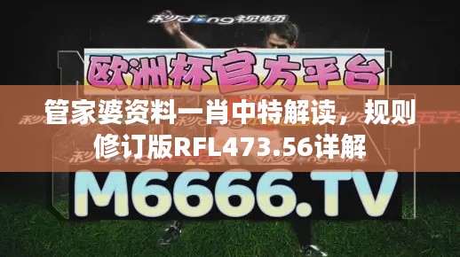 管家婆资料一肖中特解读，规则修订版RFL473.56详解