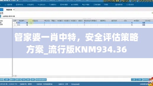 管家婆一肖中特，安全评估策略方案_流行版KNM934.36