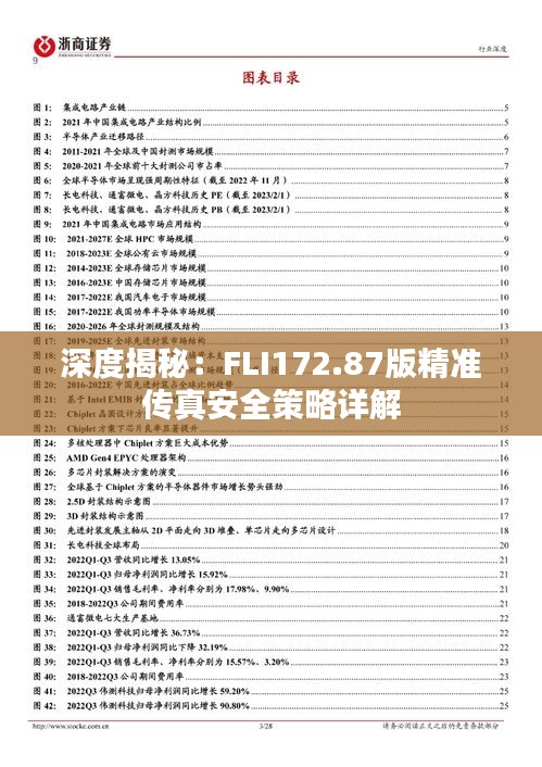 深度揭秘：FLI172.87版精准传真安全策略详解