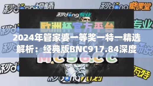 2024年管家婆一等奖一特一精选解析：经典版BNC917.84深度解读