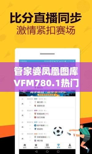 管家婆凤凰图库VFM780.1热门解答，全解析版