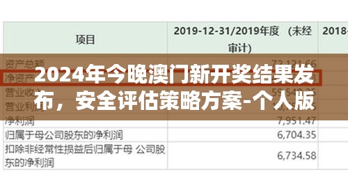 2024年今晚澳门新开奖结果发布，安全评估策略方案-个人版ODS705.26