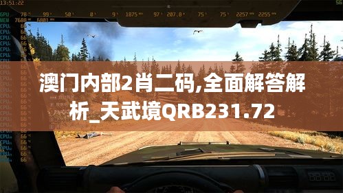 澳门内部2肖二码,全面解答解析_天武境QRB231.72