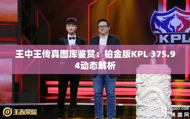 王中王传真图库鉴赏：铂金版KPL 375.94动态解析