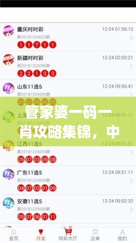 管家婆一码一肖攻略集锦，中级安全解码策略_KZN847.32