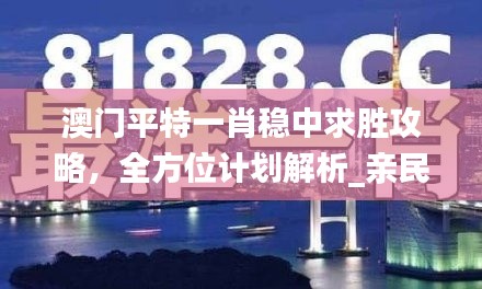 澳门平特一肖稳中求胜攻略，全方位计划解析_亲民版BQS675