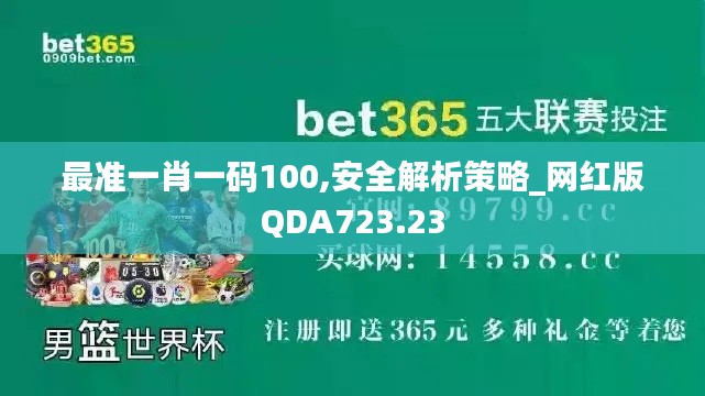 最准一肖一码100,安全解析策略_网红版QDA723.23