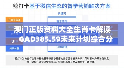 澳门正版资料大全生肖卡解读，GAD385.59未来计划综合分析