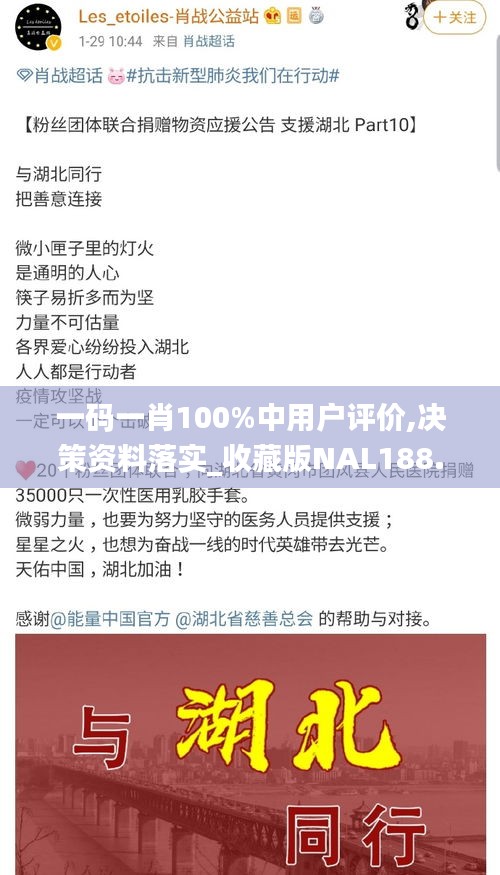 一码一肖100%中用户评价,决策资料落实_收藏版NAL188.2