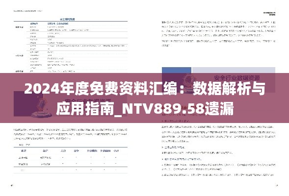 2024年度免费资料汇编：数据解析与应用指南_NTV889.58遗漏