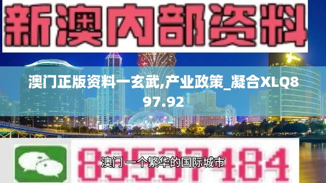 澳门正版资料一玄武,产业政策_凝合XLQ897.92