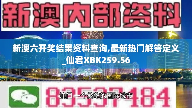 新澳六开奖结果资料查询,最新热门解答定义_仙君XBK259.56