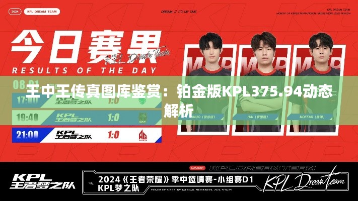 王中王传真图库鉴赏：铂金版KPL375.94动态解析