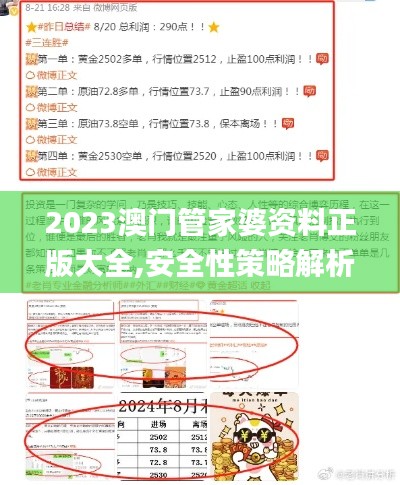 2023澳门管家婆资料正版大全,安全性策略解析_星耀版XWV36.43