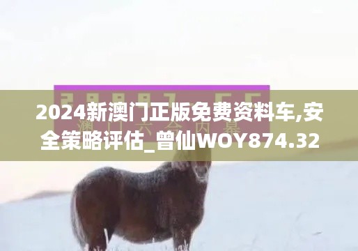 2024新澳门正版免费资料车,安全策略评估_曾仙WOY874.32