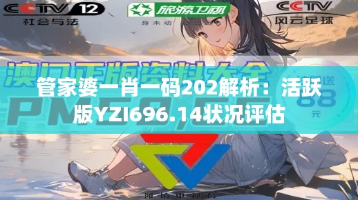 管家婆一肖一码202解析：活跃版YZI696.14状况评估