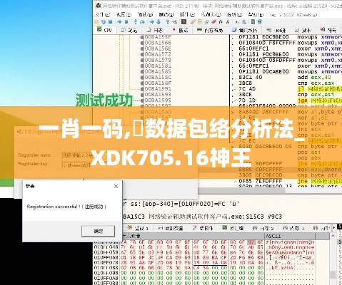 一肖一码,‌数据包络分析法_XDK705.16神王