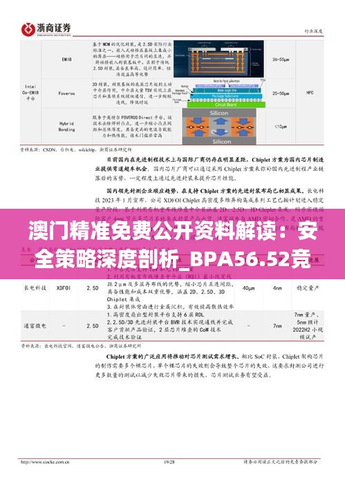 澳门精准免费公开资料解读：安全策略深度剖析_BPA56.52竞技版