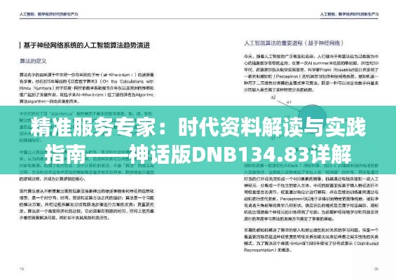 精准服务专家：时代资料解读与实践指南——神话版DNB134.83详解