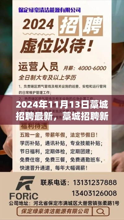 藁城招聘最新动态，职业机遇与挑战（2024年11月13日）