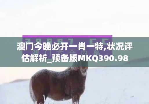 澳门今晚必开一肖一特,状况评估解析_预备版MKQ390.98