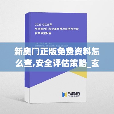 新奥门正版免费资料怎么查,安全评估策略_玄府境KEY809.77