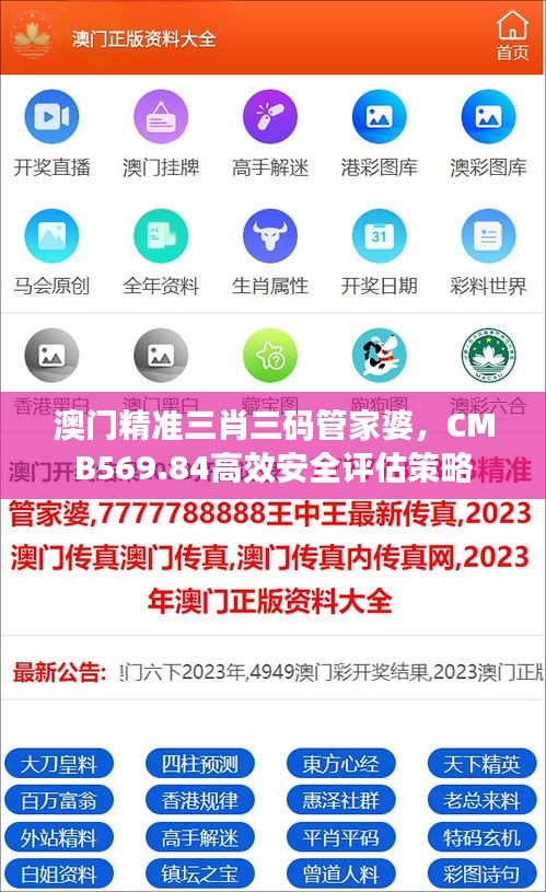 澳门精准三肖三码管家婆，CMB569.84高效安全评估策略