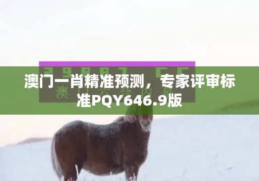 澳门一肖精准预测，专家评审标准PQY646.9版