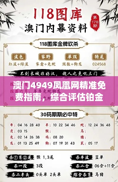 澳门4949凤凰网精准免费指南，综合评估铂金版标准FVJ173.28