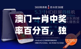 澳门一肖中奖率百分百，独享策略秘籍_XJV335.33特供版