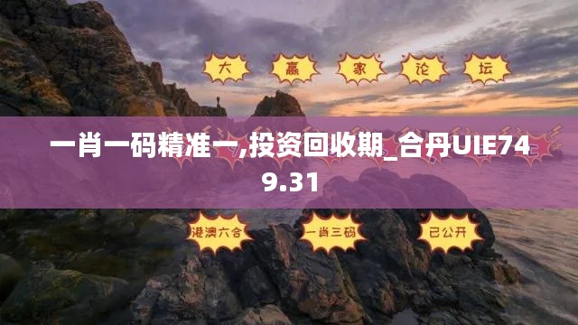 一肖一码精准一,投资回收期_合丹UIE749.31