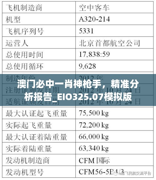 澳门必中一肖神枪手，精准分析报告_EIO325.07模拟版